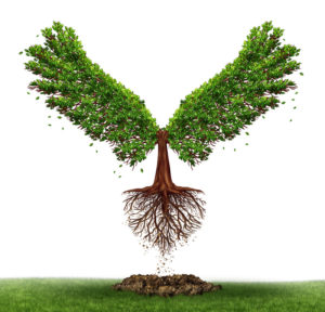 TREE WITH WINGS RISING OUT OF THE GROUND